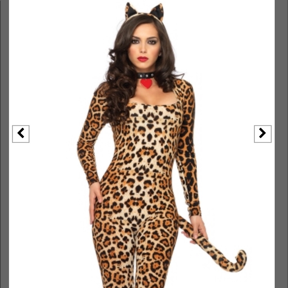 Sexy cougar costume